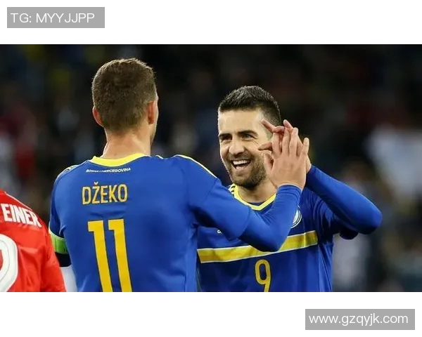 波黑与芬兰激战欧洲杯预选赛争夺出线机会的精彩对决