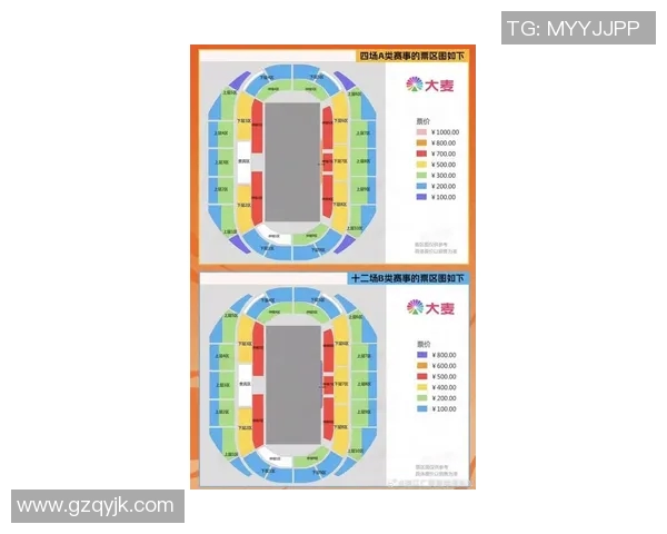 欧冠门票系统故障引发数万球迷排队12小时抢购热潮