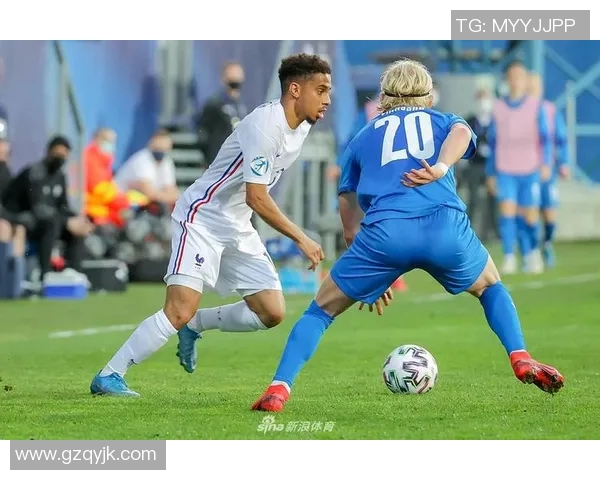 法国与冰岛比赛盘口水位分析及投注策略探讨 法国与冰岛比赛盘口水位分析及投注策略探讨