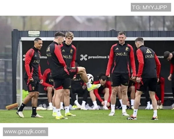 比利时与爱尔兰足球对决分析及竞猜策略分享